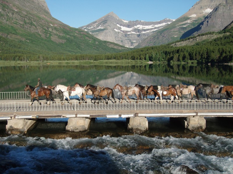 Take a Guided Horseback Ride Glacier National Park, Montana Crown