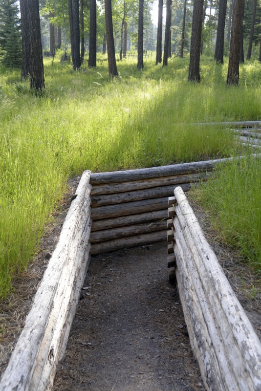 Blackfoot Pathways Sculpture in the Wild Lincoln, Montana Crown of