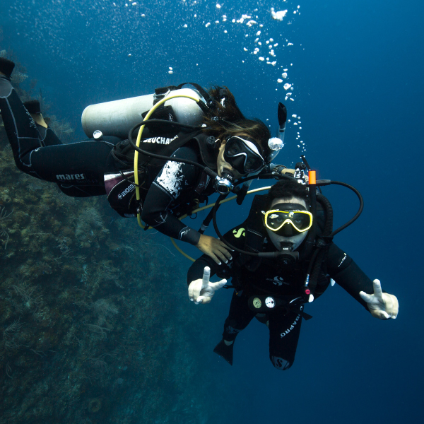 Utila Dive Centre, Utila, Islas de la Bahía, Honduras Go Blue Bay Islands