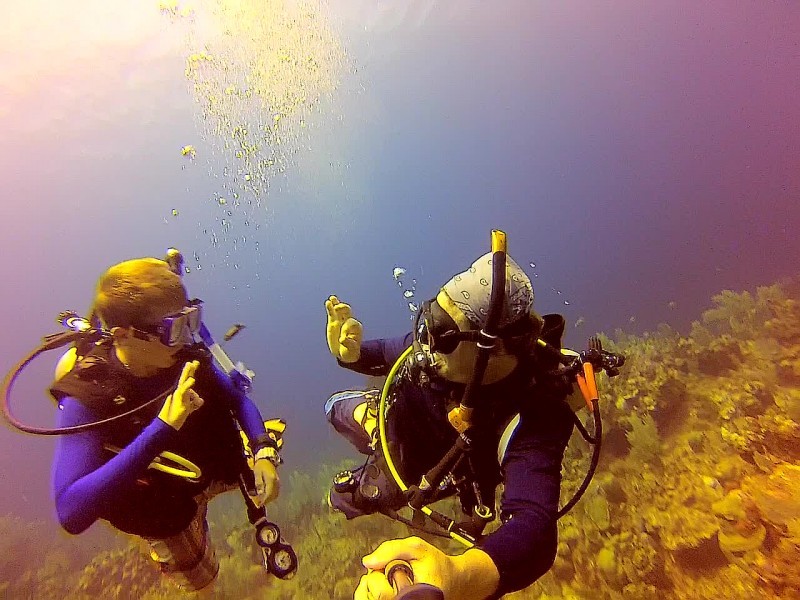 Blue Island Divers Go Blue Bay Islands