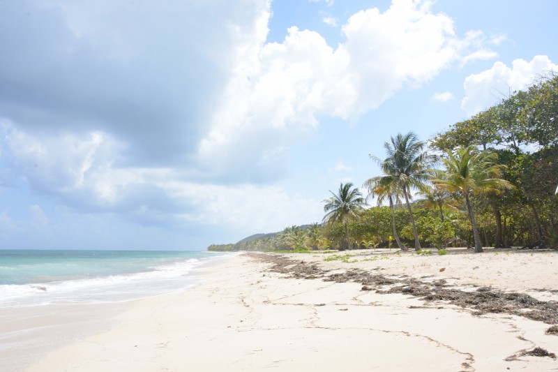 Camp Bay Beach, Camp Bay, Roatán Go Blue Bay Islands