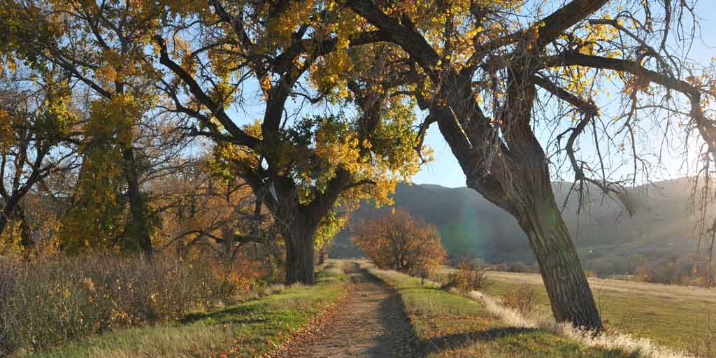 Trail Information | High Line Canal Trail Map