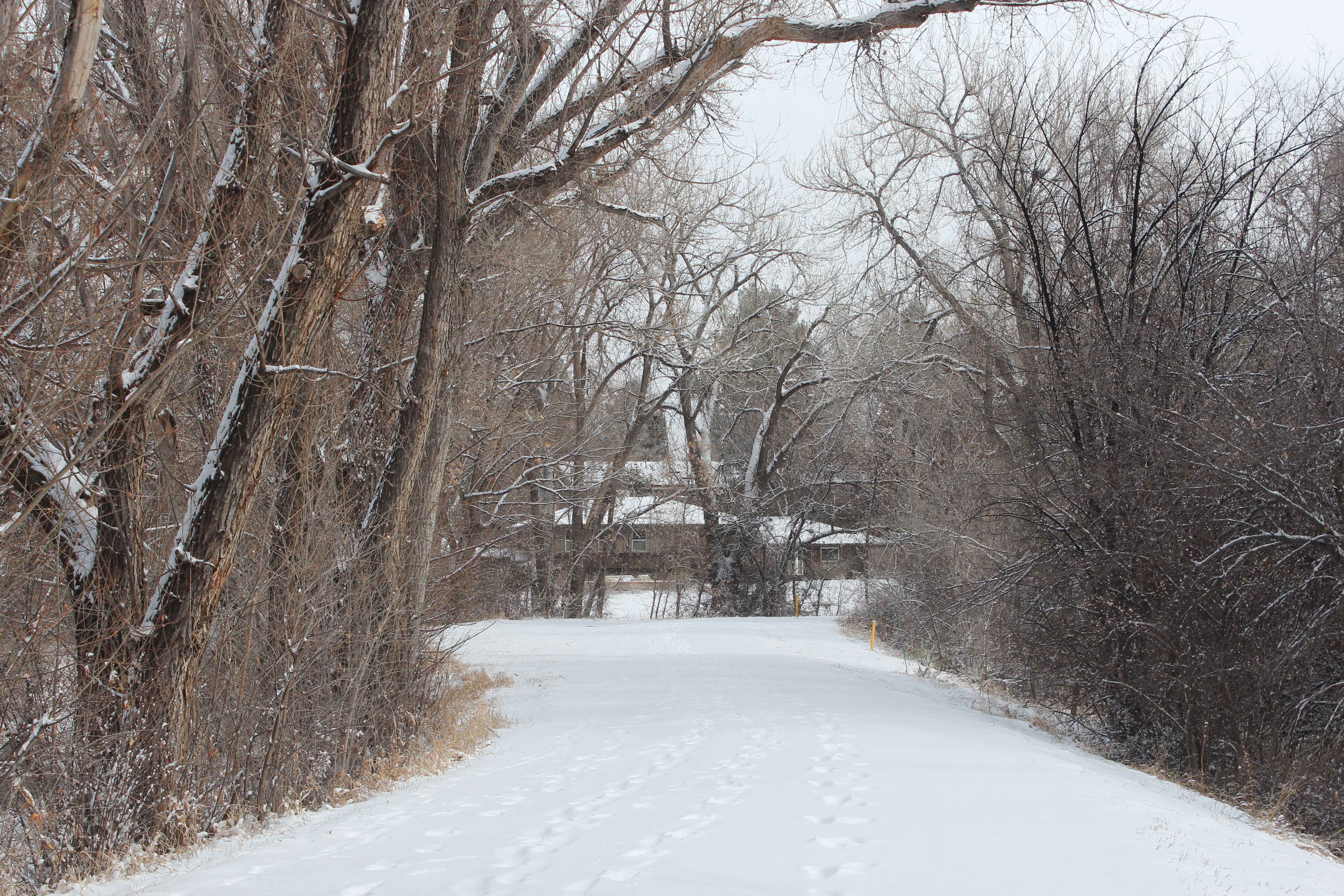 Highline Canal in Winter 2024