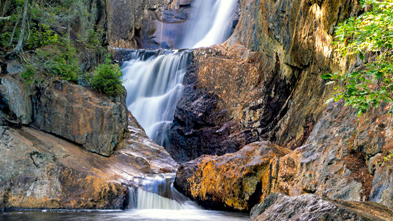 Natural direction  After more than 40 years with one of Maine's