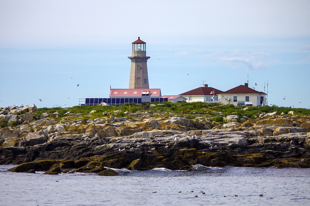 machias seal island lighthouse keeper salary