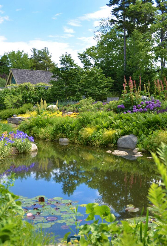 Gardens & Landscapes