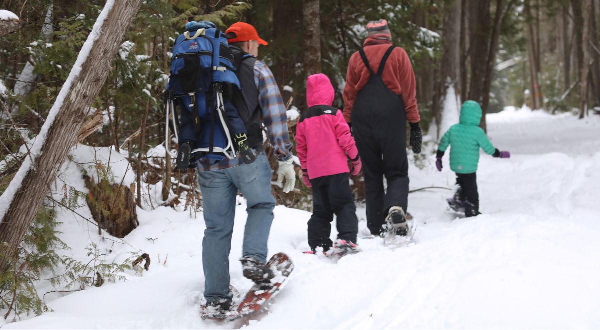 The top 14 wild areas with magic winter trails