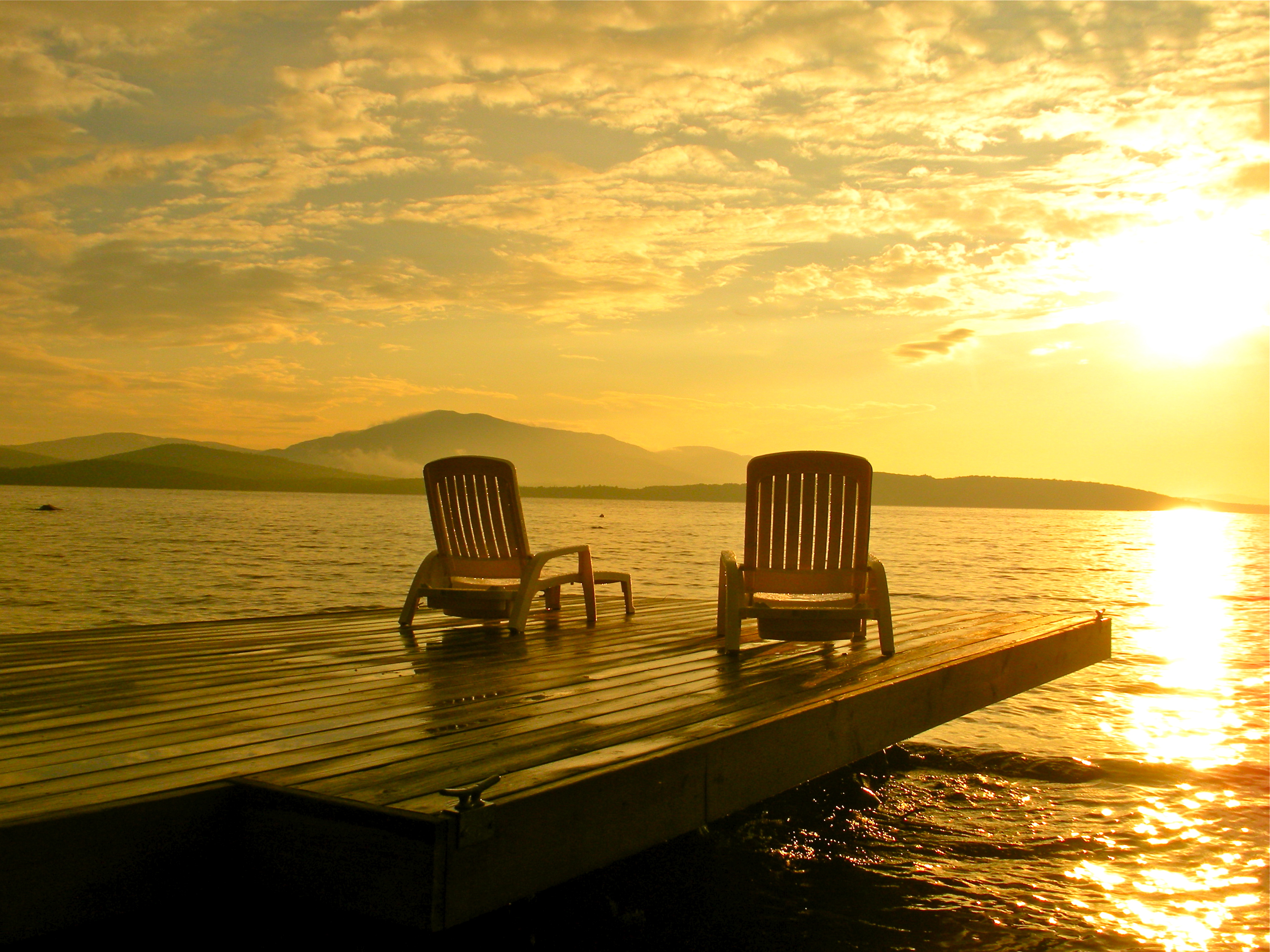 Moose & Wildlife Watching - Cozy Moose Lakeside Cabin ...