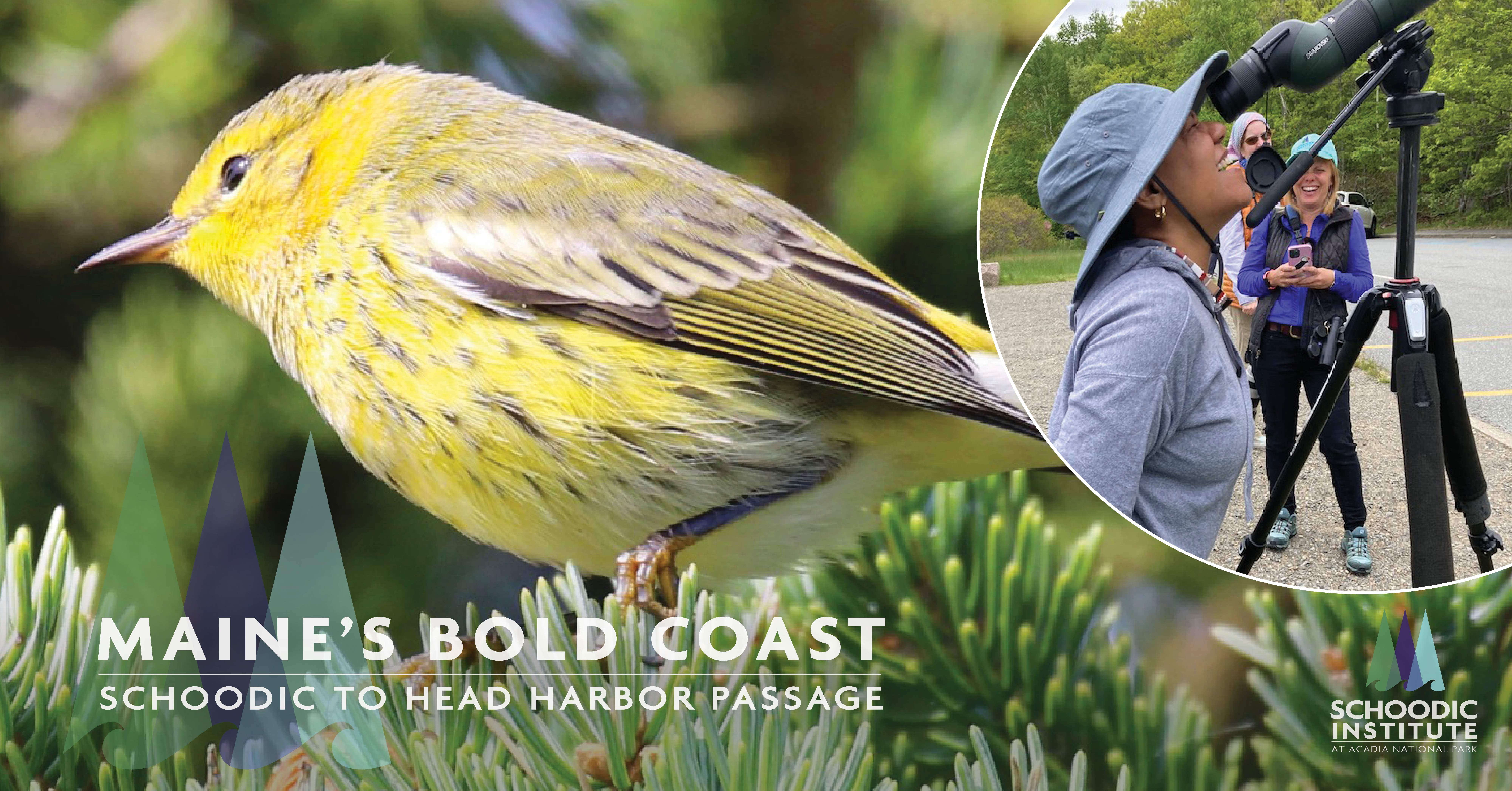 Maine’s Bold Coast: Schoodic to Head Harbor Passage