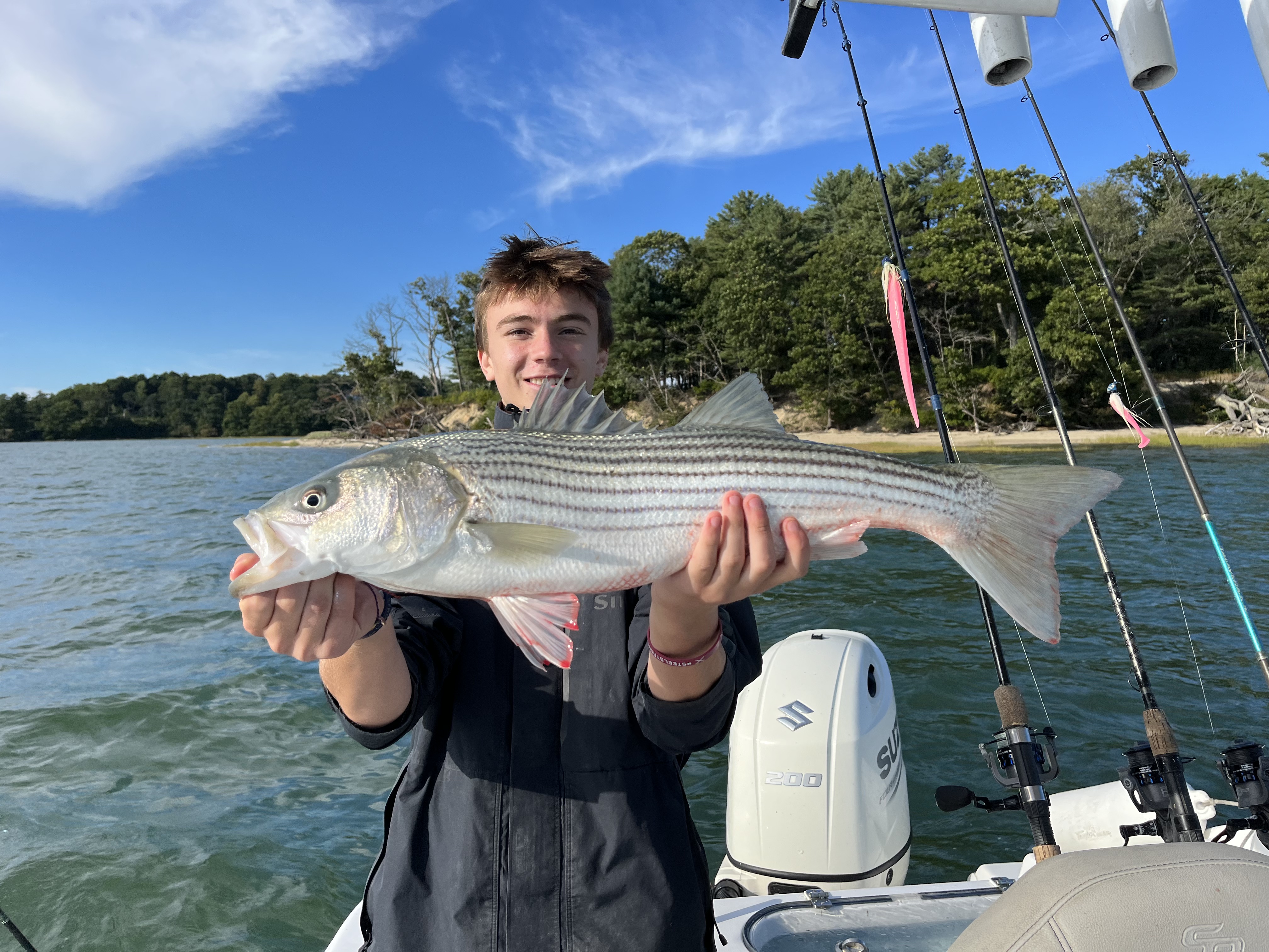 Seawalker Excursions
