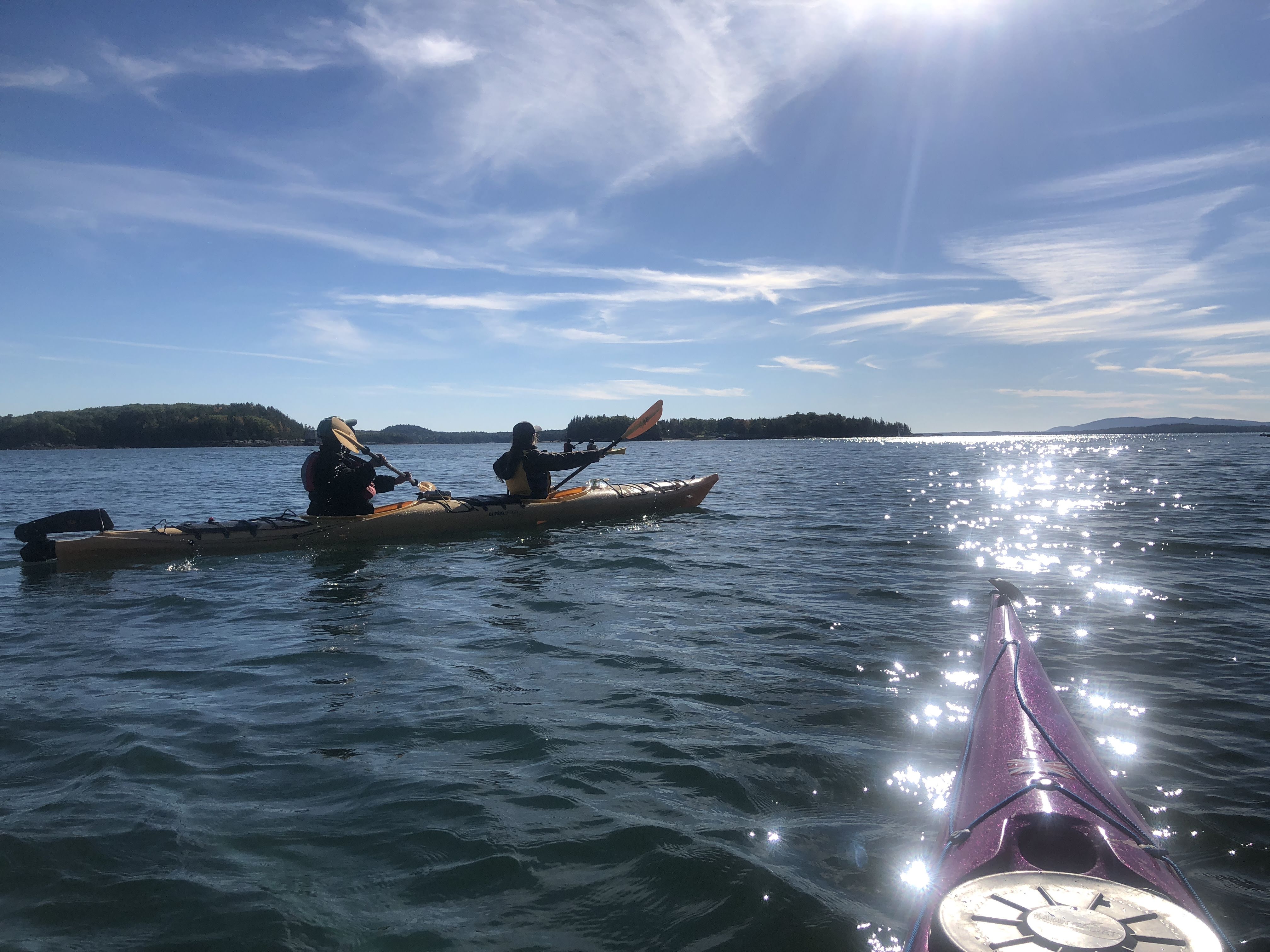 Castine Kayak Adventures