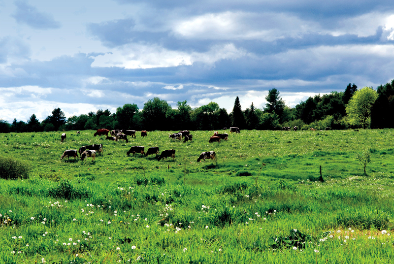 Agricultural Attractions Maine's Kennebec Valley