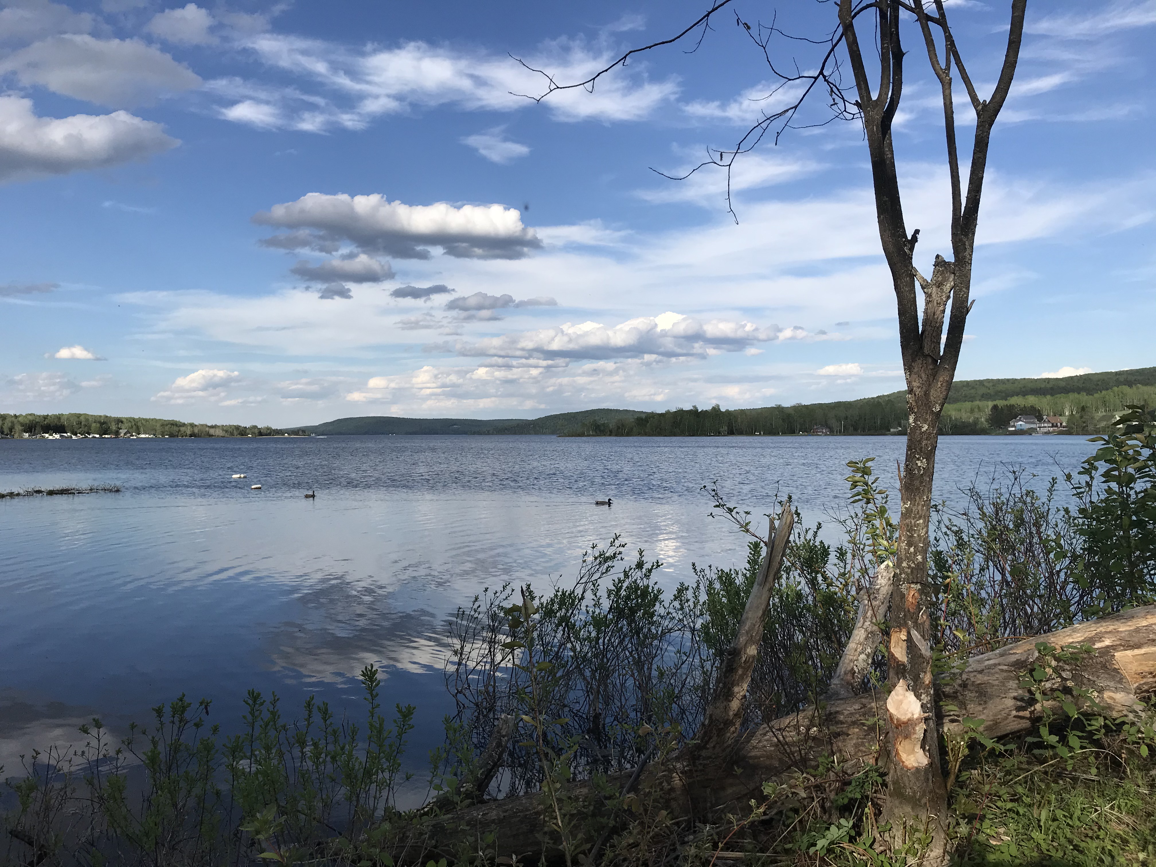 Lakeside Lodge Sinclair Maine | Maine's Aroostook County