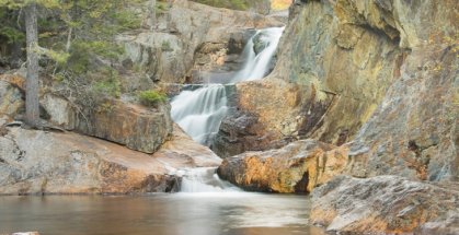 Natural direction  After more than 40 years with one of Maine's