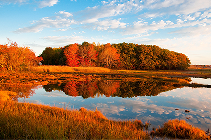 Red trees reflected in a lake