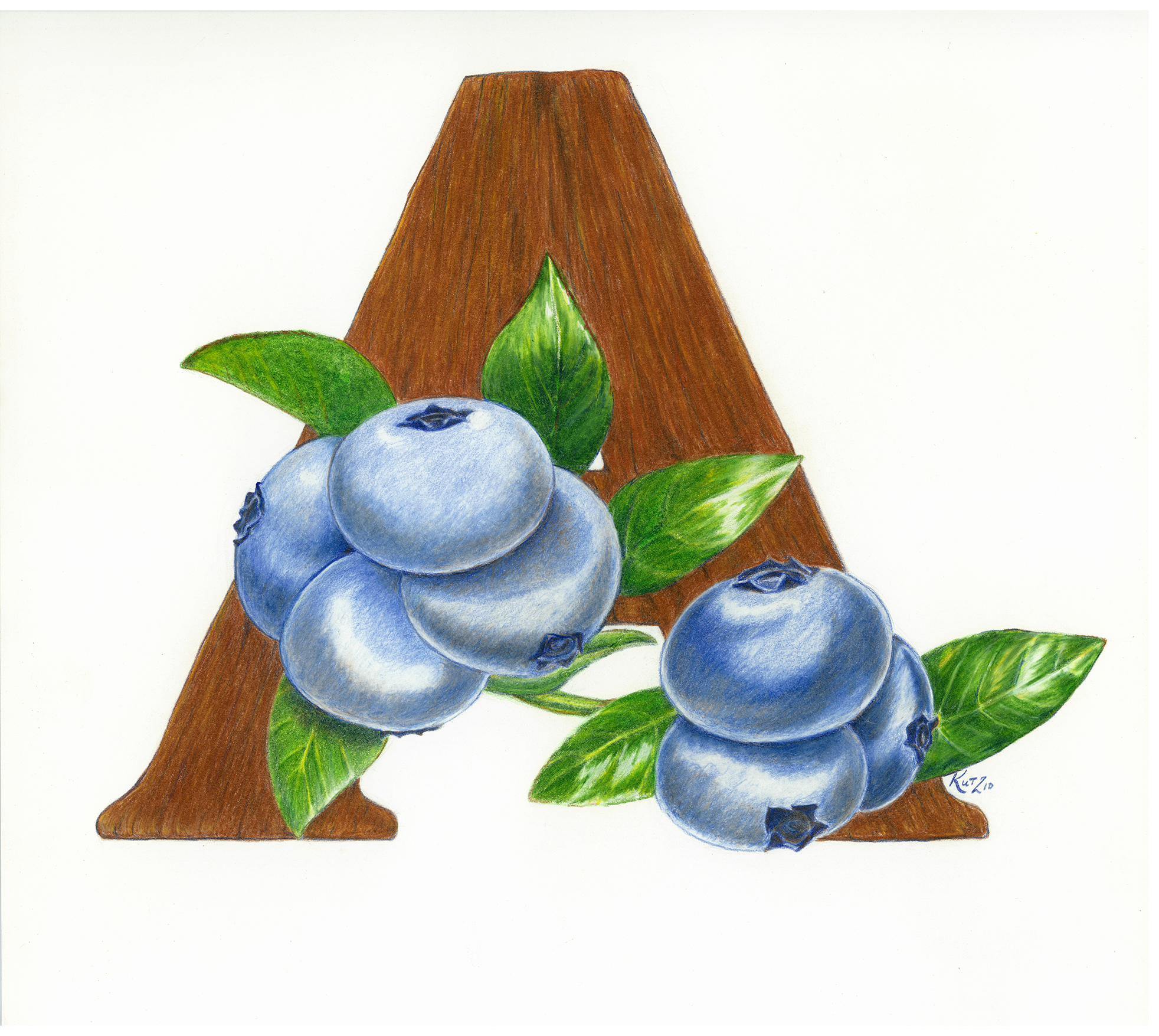 Alexander's Wild Maine Blueberries