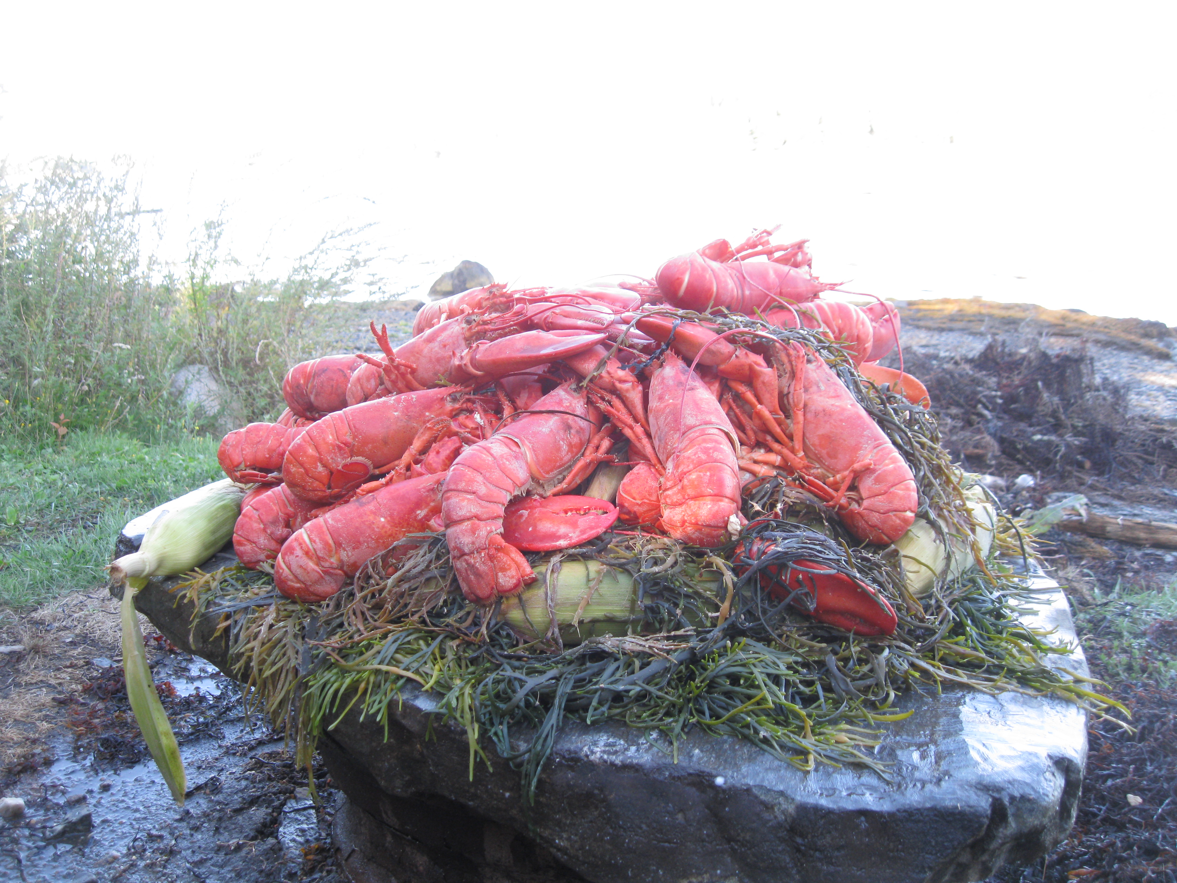 Half Day Sail and Lobster Bake on the Schooner Olad