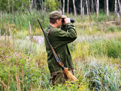 Maine Moose, Deer & Bear Hunting & More