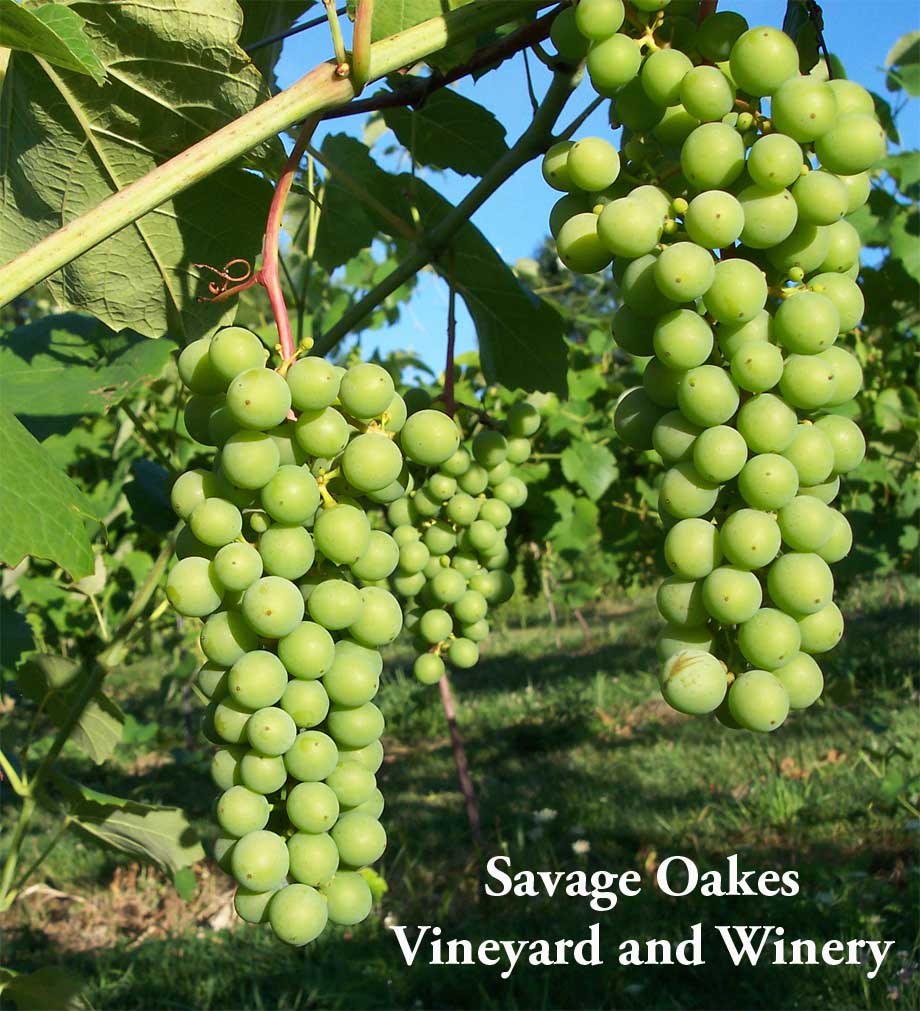 Savage Oakes Vineyard & Winery