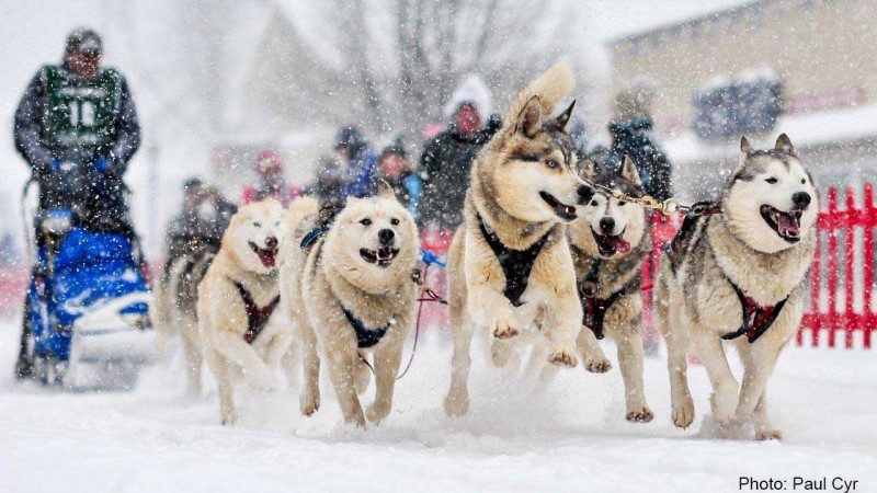 Meet the Mushers :: Can-Am Crown International Sled Dog Races