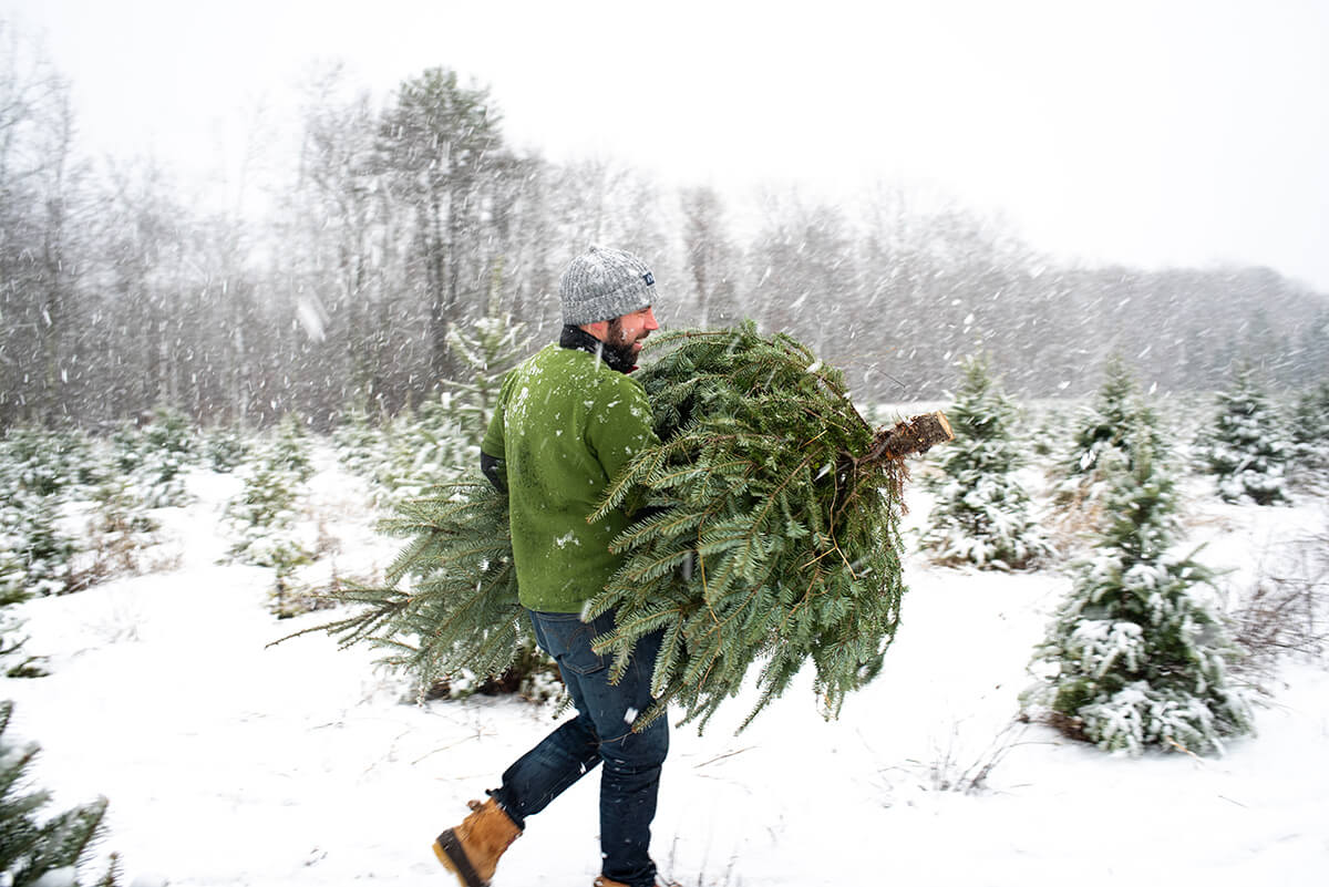 Visit a Maine Christmas Tree Farm in the Kennebec Valley - Visit Maine