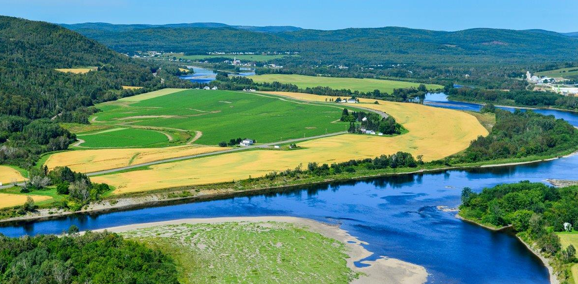 Discover the St. John River: A Scenic Byway You'll Love