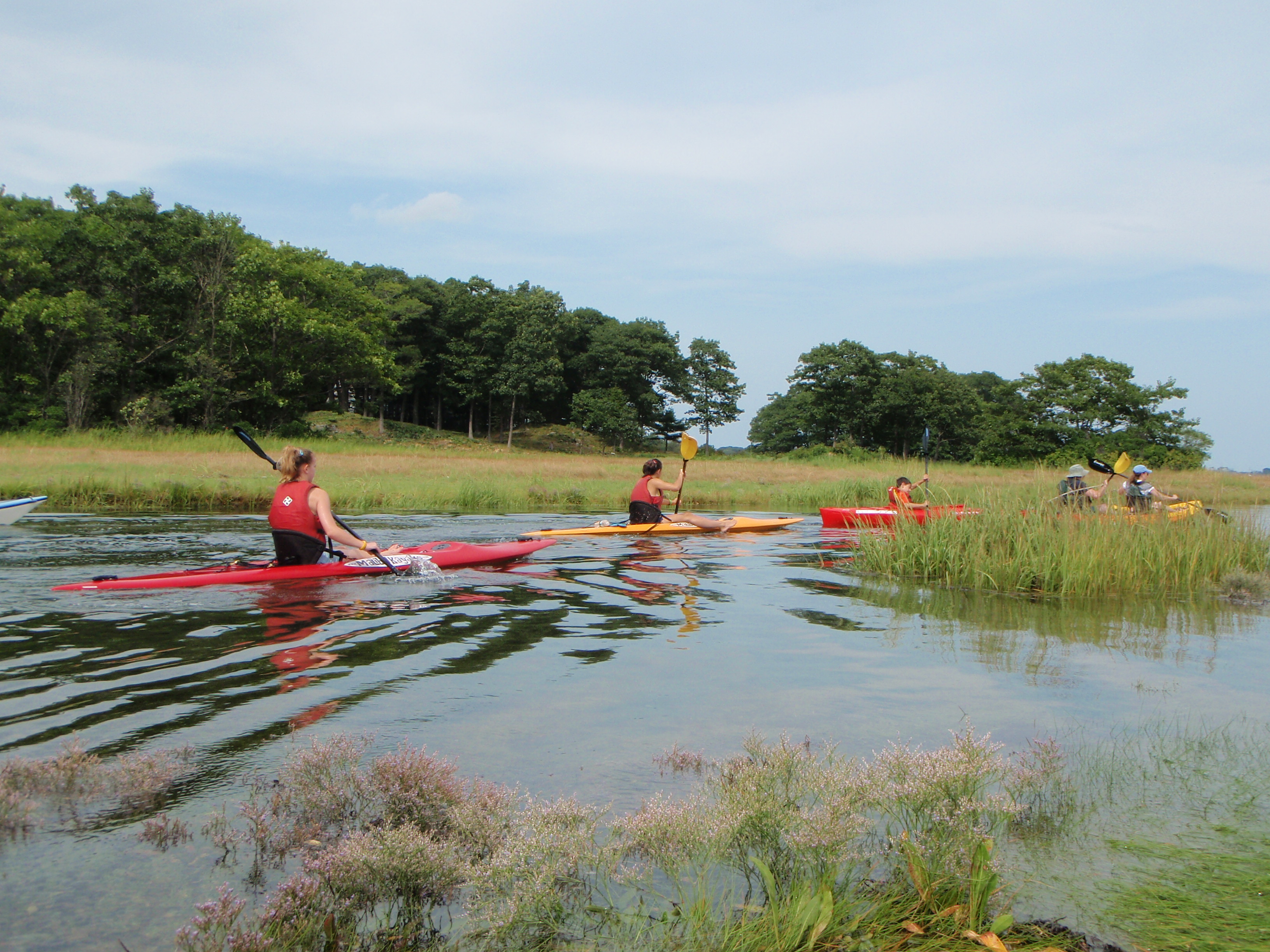 Kayak Excursions Visit Maine