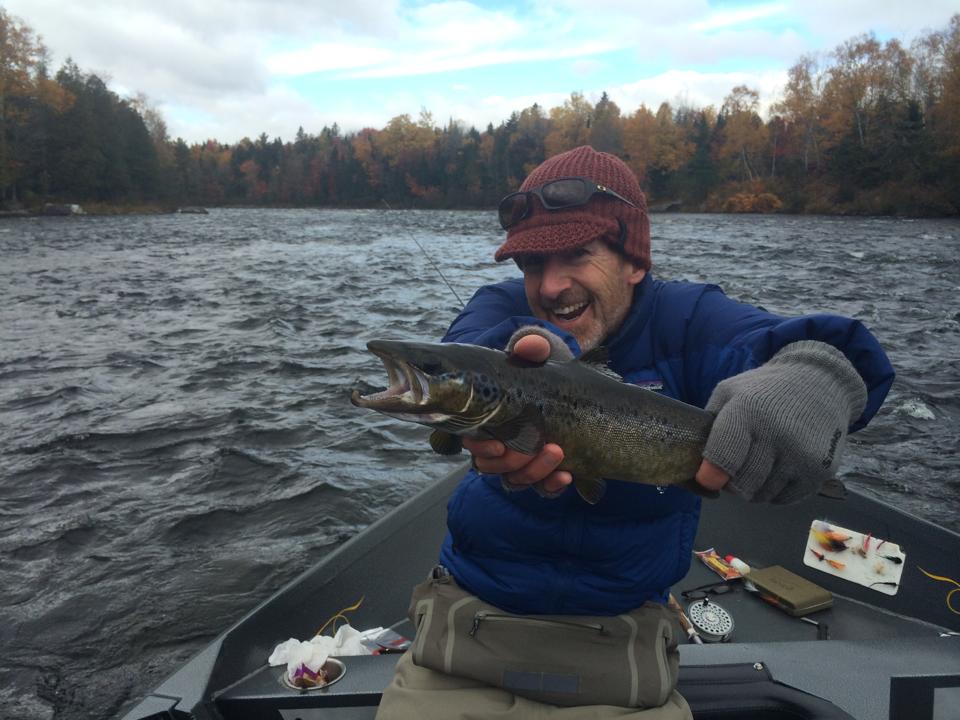 Beautiful male salmon!