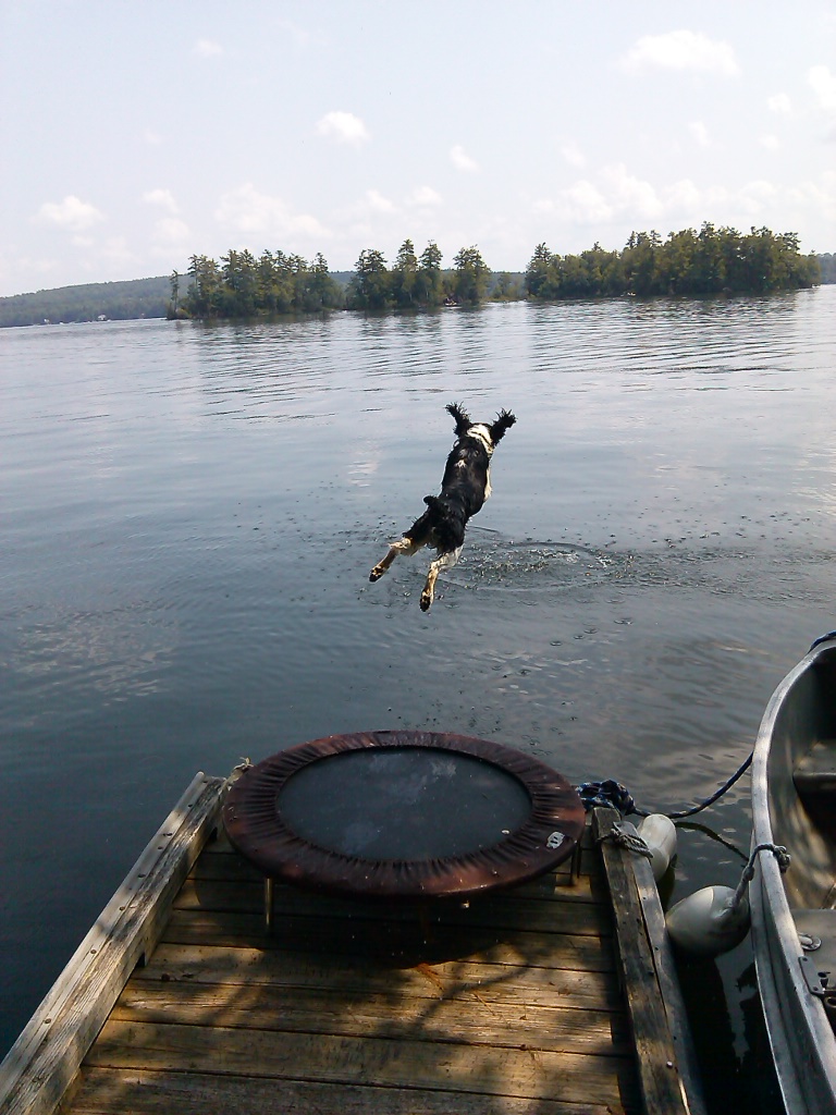 Jump!!! IN!!!