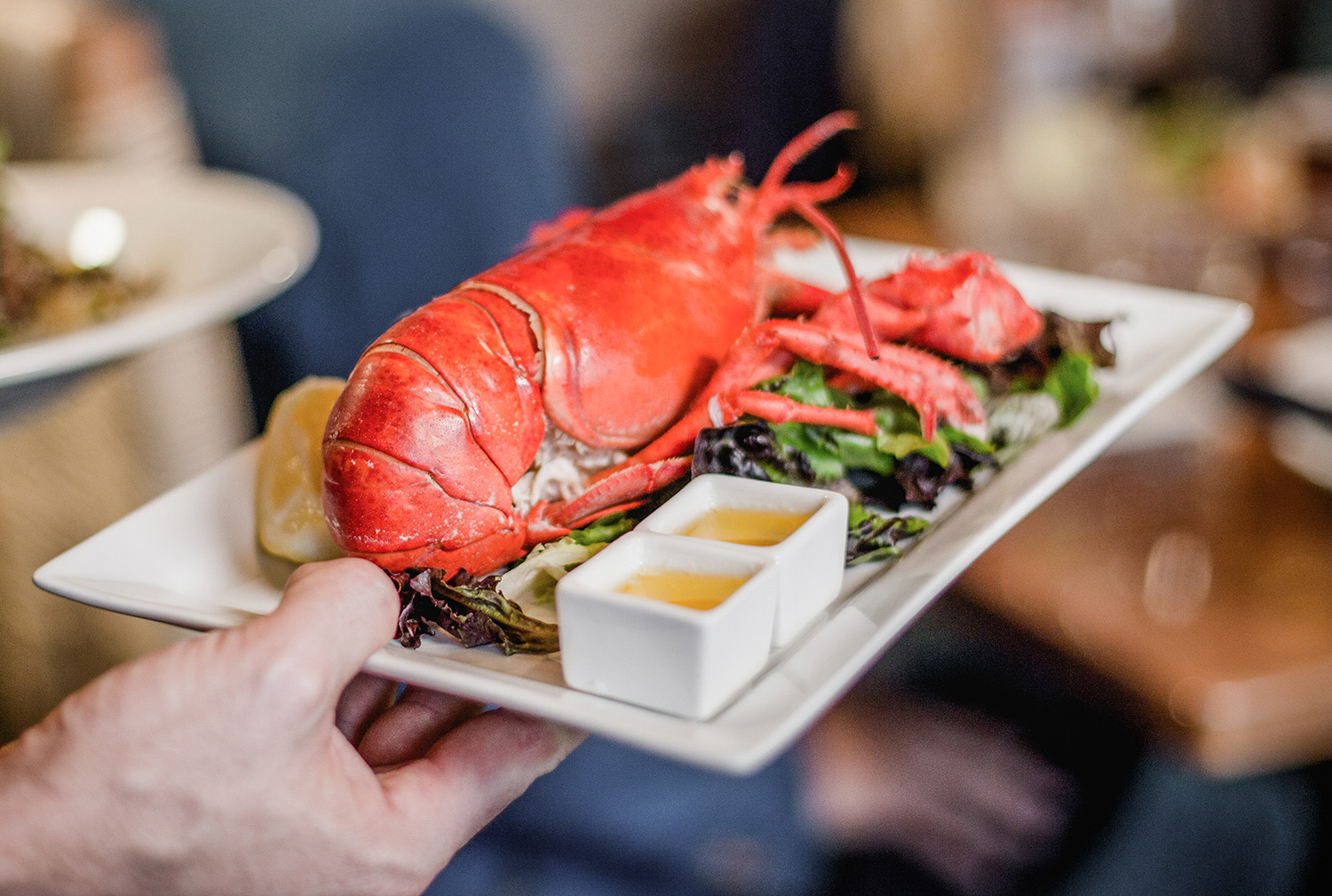 Where to Find the Best Maine Lobster Visit Maine
