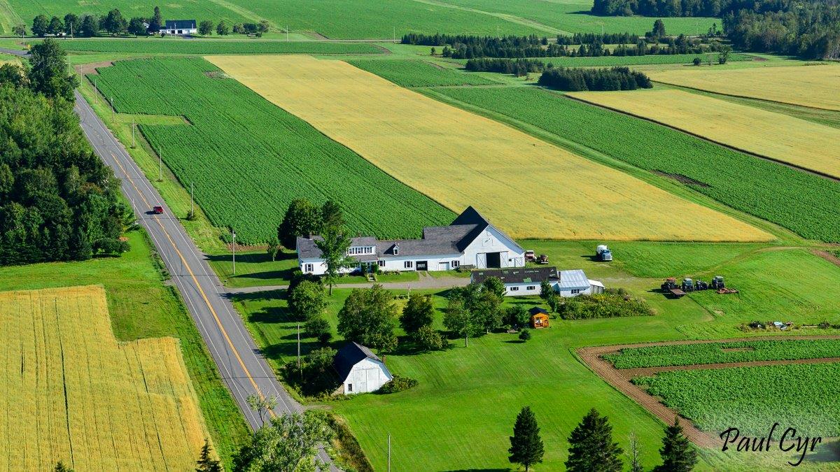 Maine State Open Farm Day Visit Maine