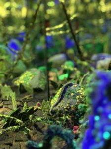 Juliet Karelsen: Heptagonal Spring