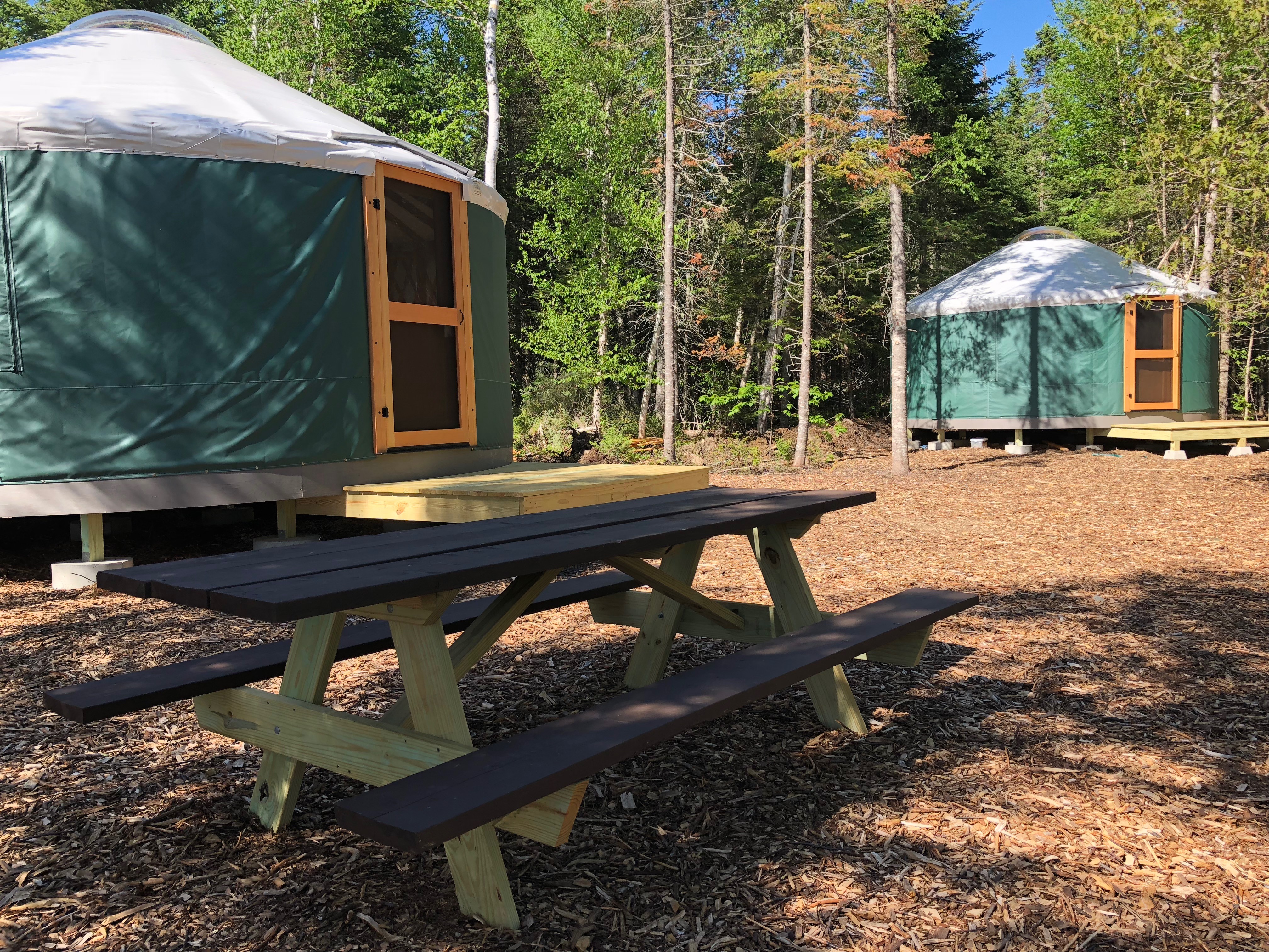 10% Off Yurt Lodging Stay
