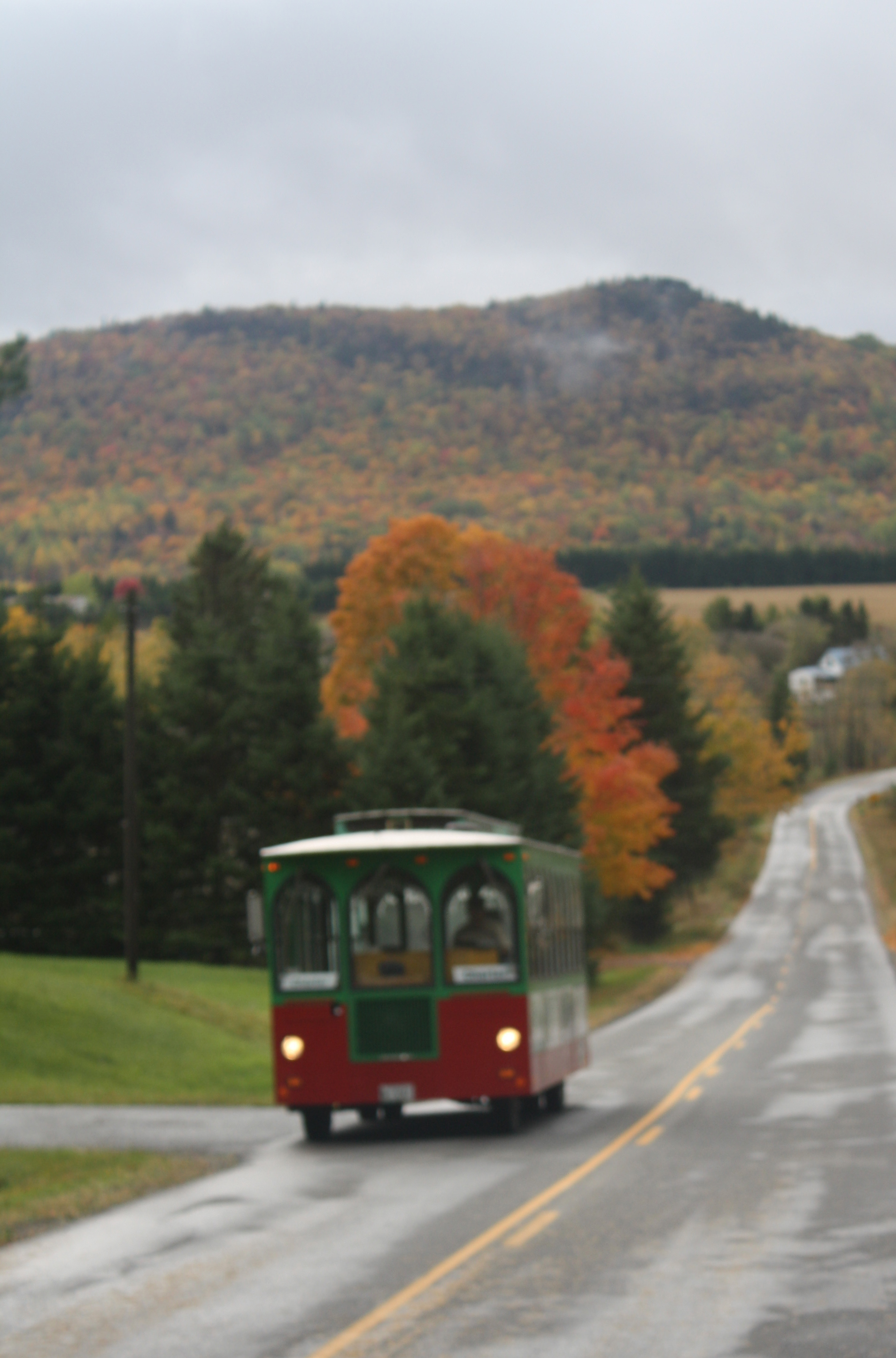 Fall Foliage Tour aboard Molly the Trolley