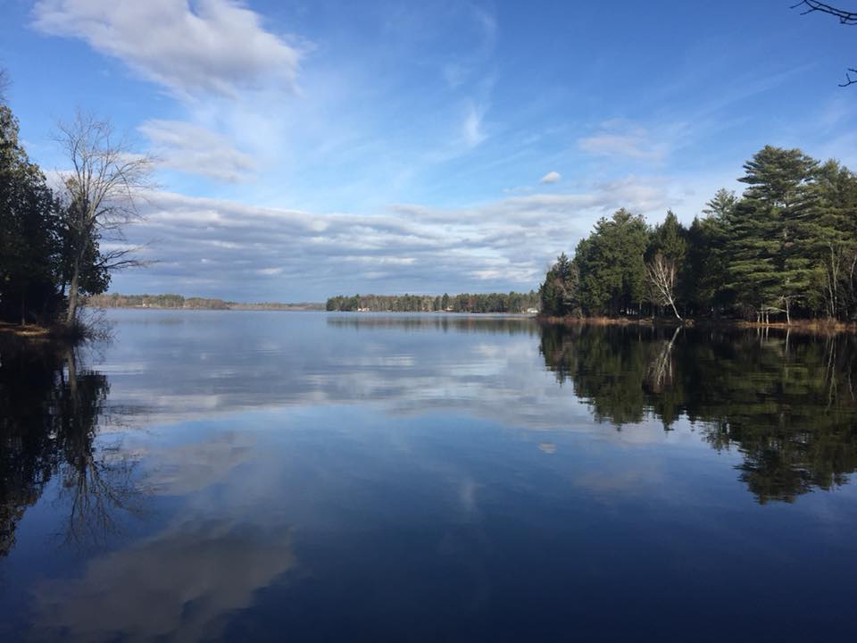Loon Lodge & Loon Loft at Pattee's Pond