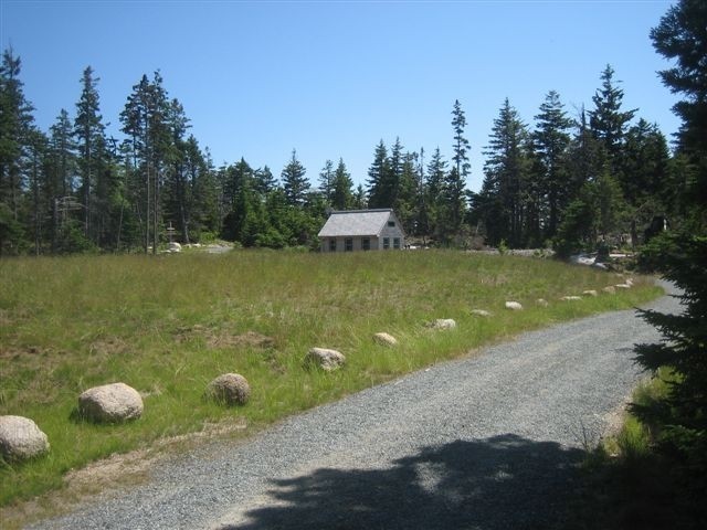 Meadow on Spruce Island