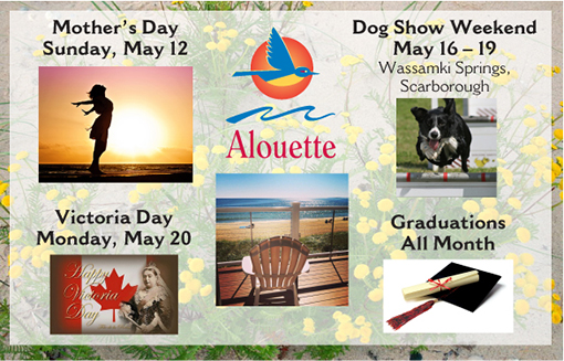 Alouette May Stay Mini-Vaca