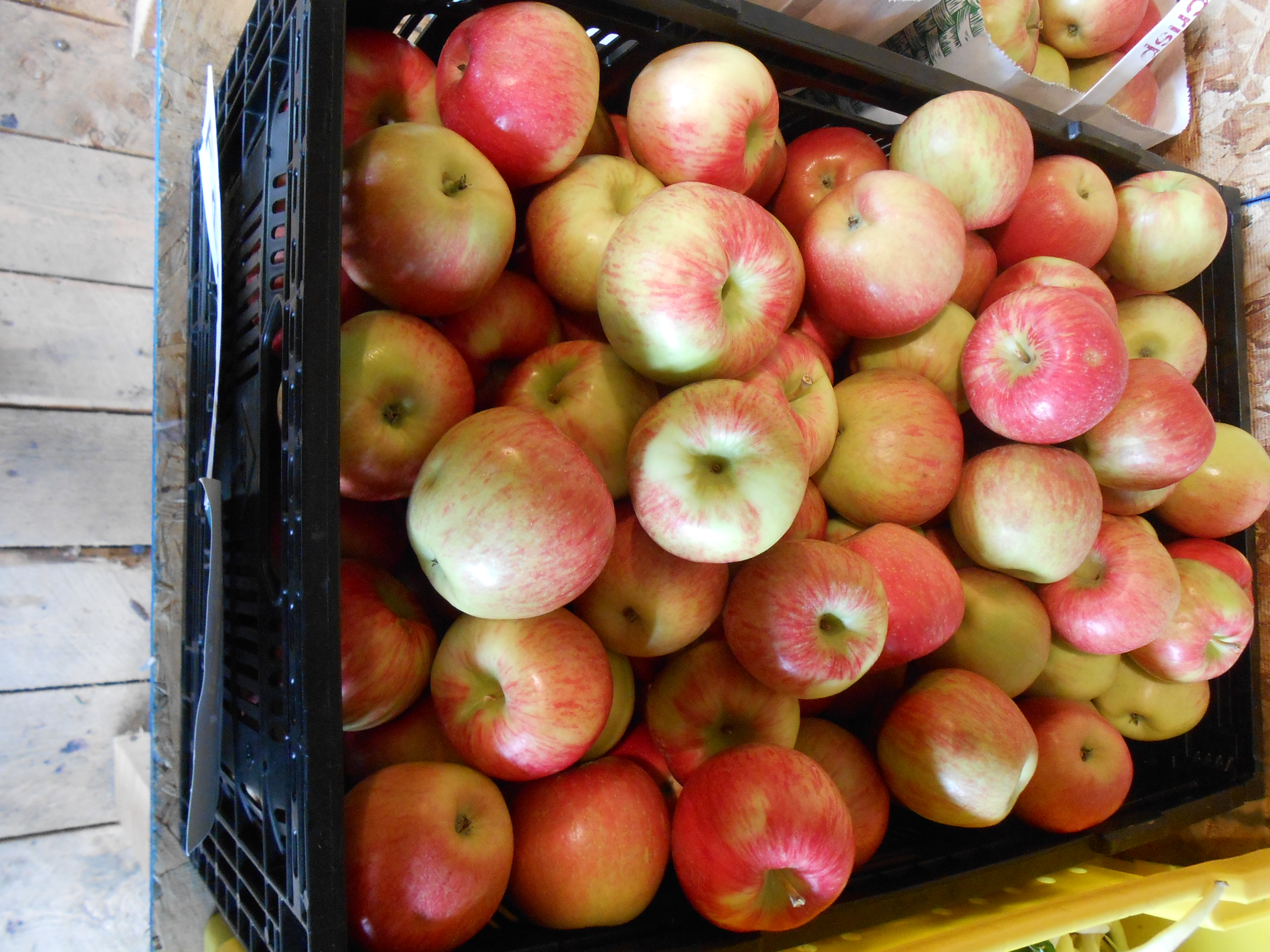 Presque Isle Farmers Market