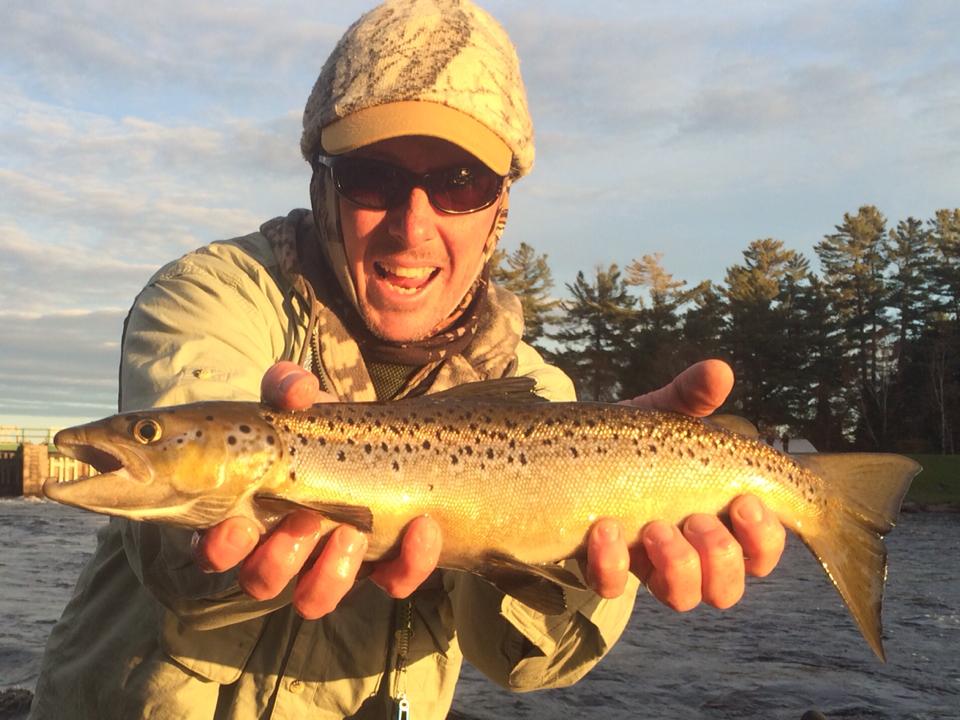 Big late fall salmon!