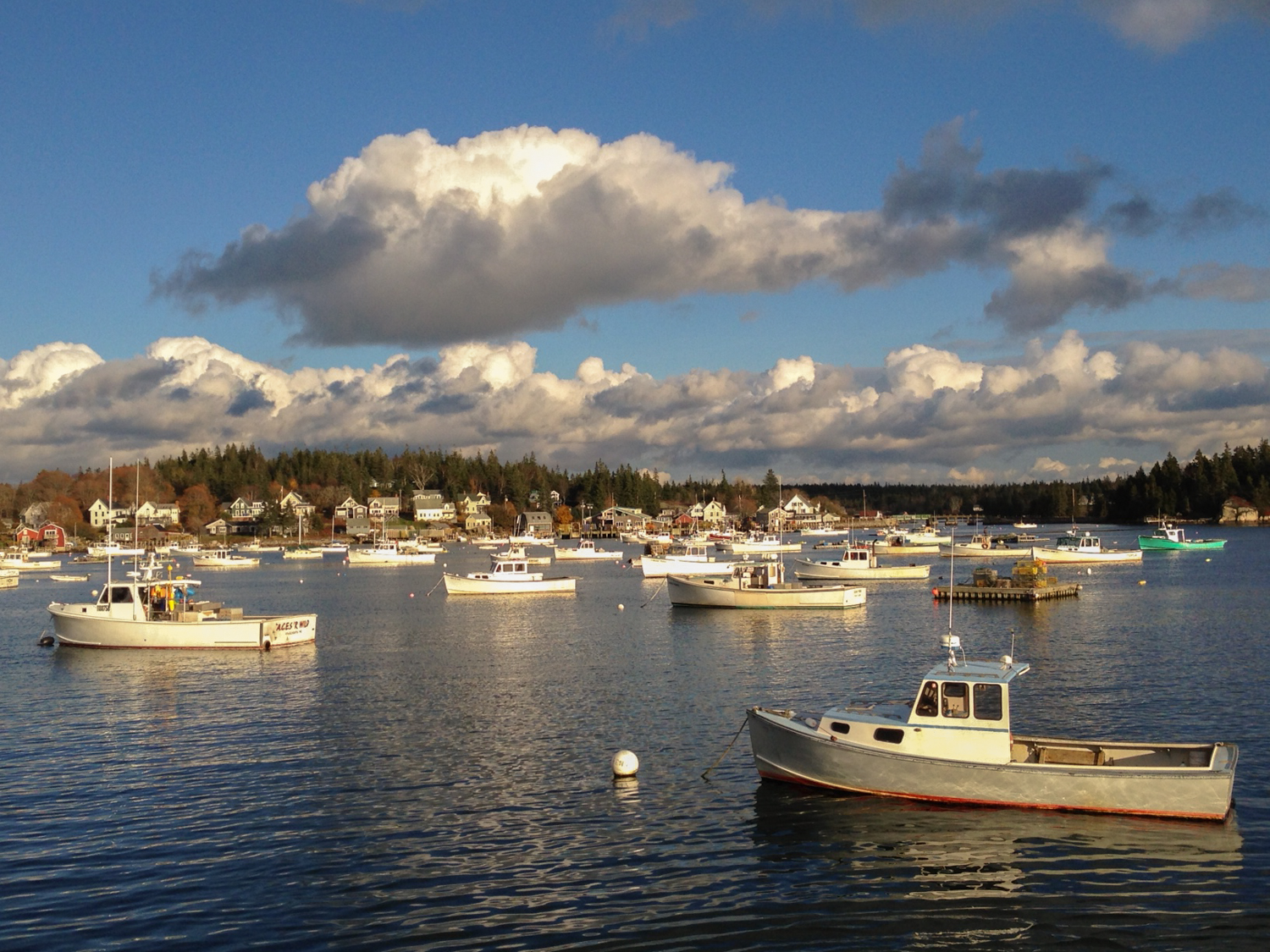 Photo Tour: Vinalhaven Island Excursion