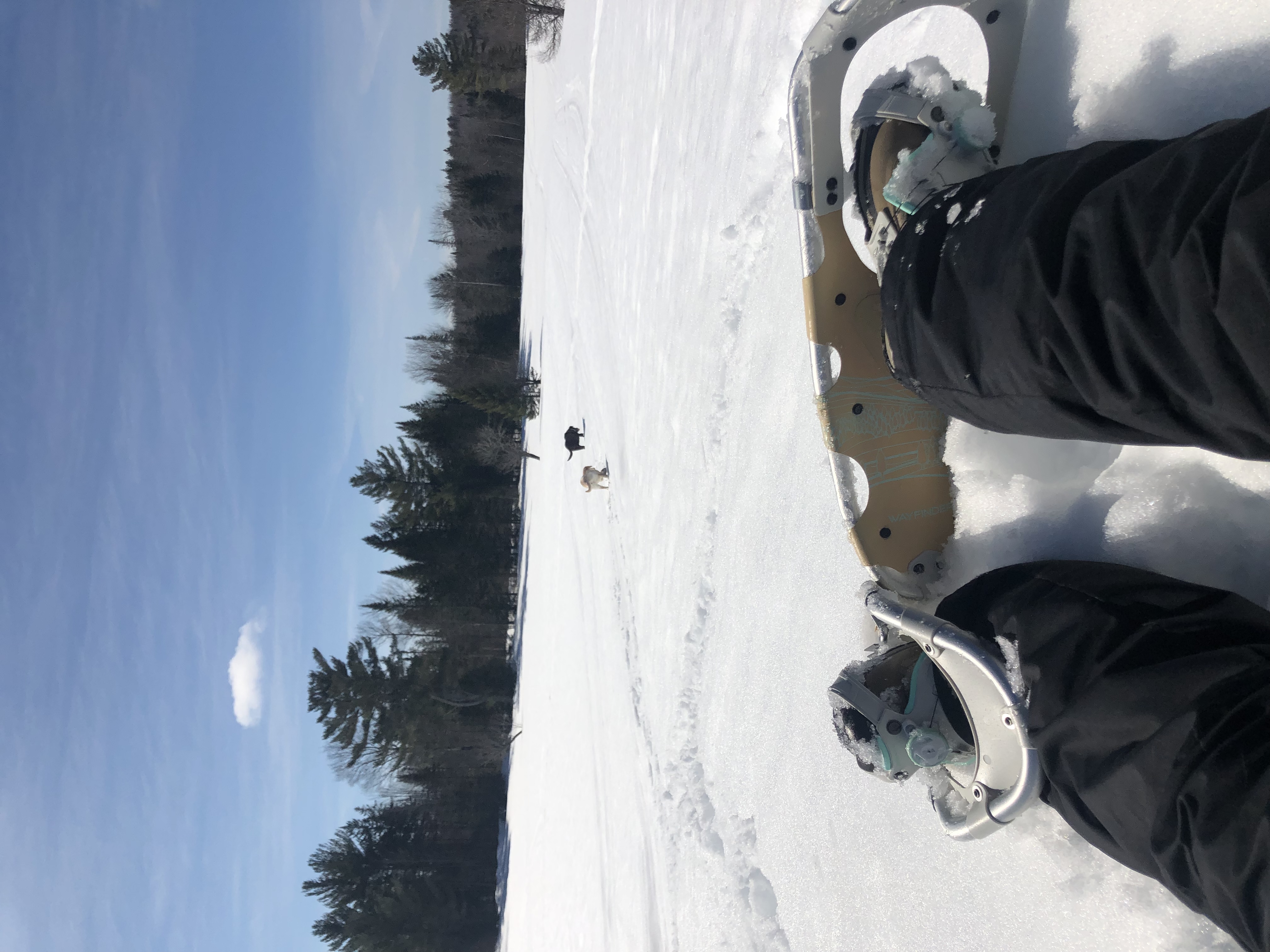 Dragonwood offers an abundance of winter activities, from snowman building to ice fishing!