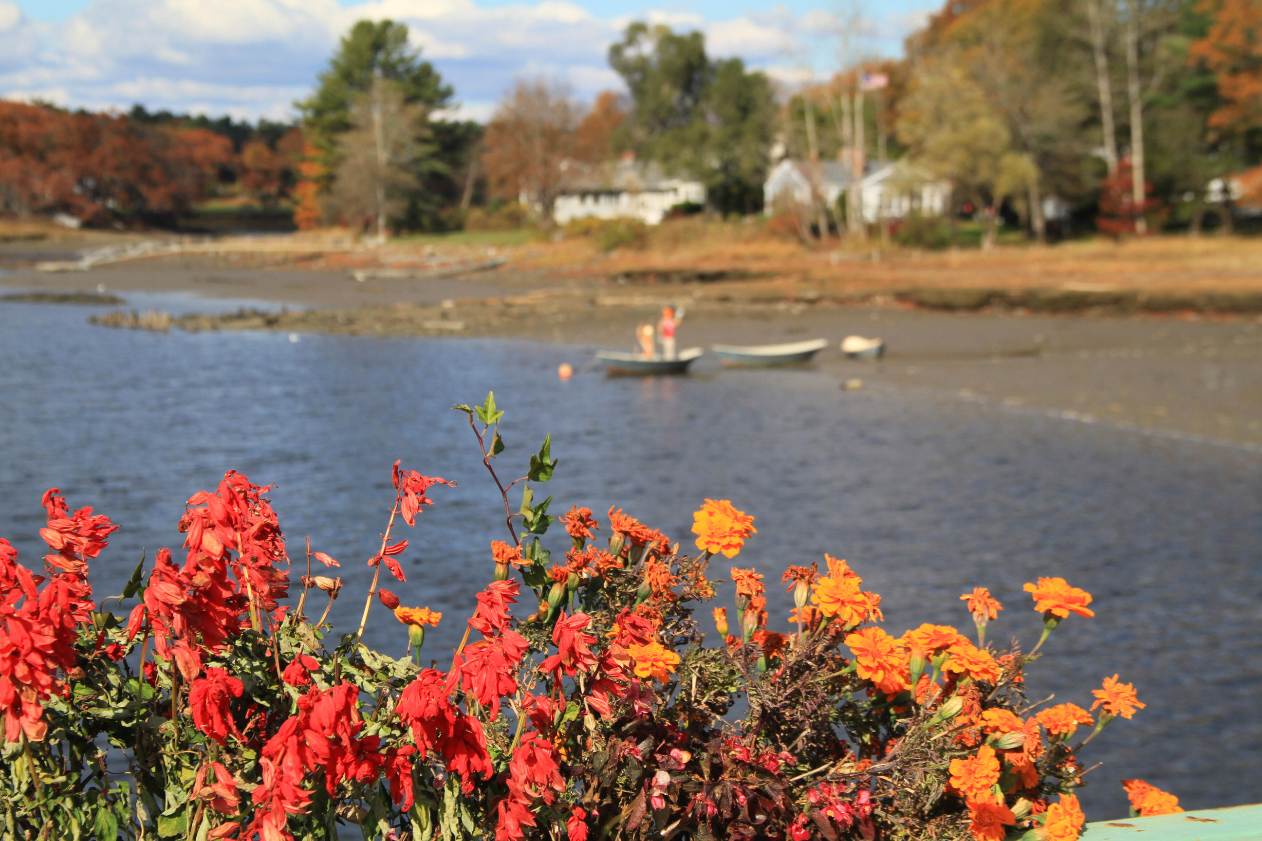 Maine Coast - visit our Photo Album at www.VisitMaine.net to see many more