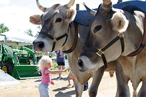 Blue Hill Fair