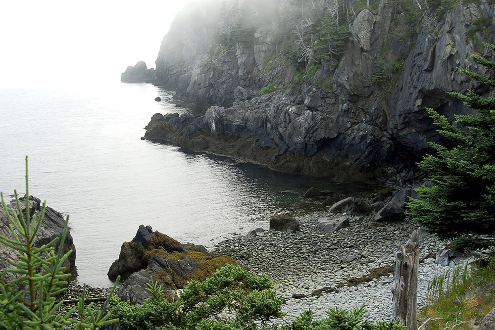 Quoddy Head State Park view from the coastal trails.