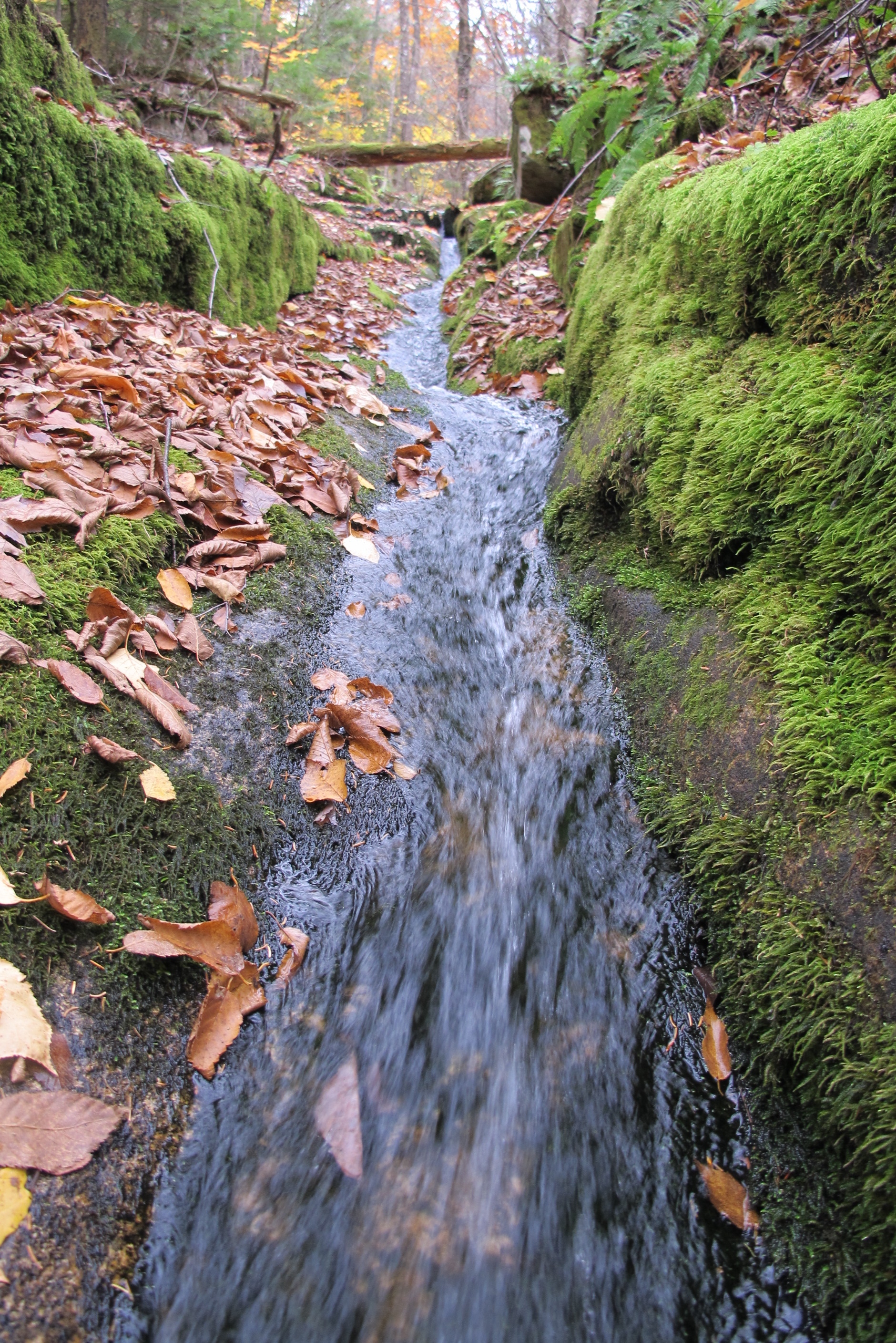 Mt. Brook on Pleasant Mountain located on our 33 acres