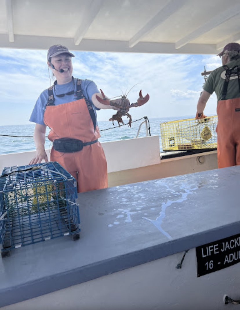 Rugosa Lobster Boat Tours Visit Maine