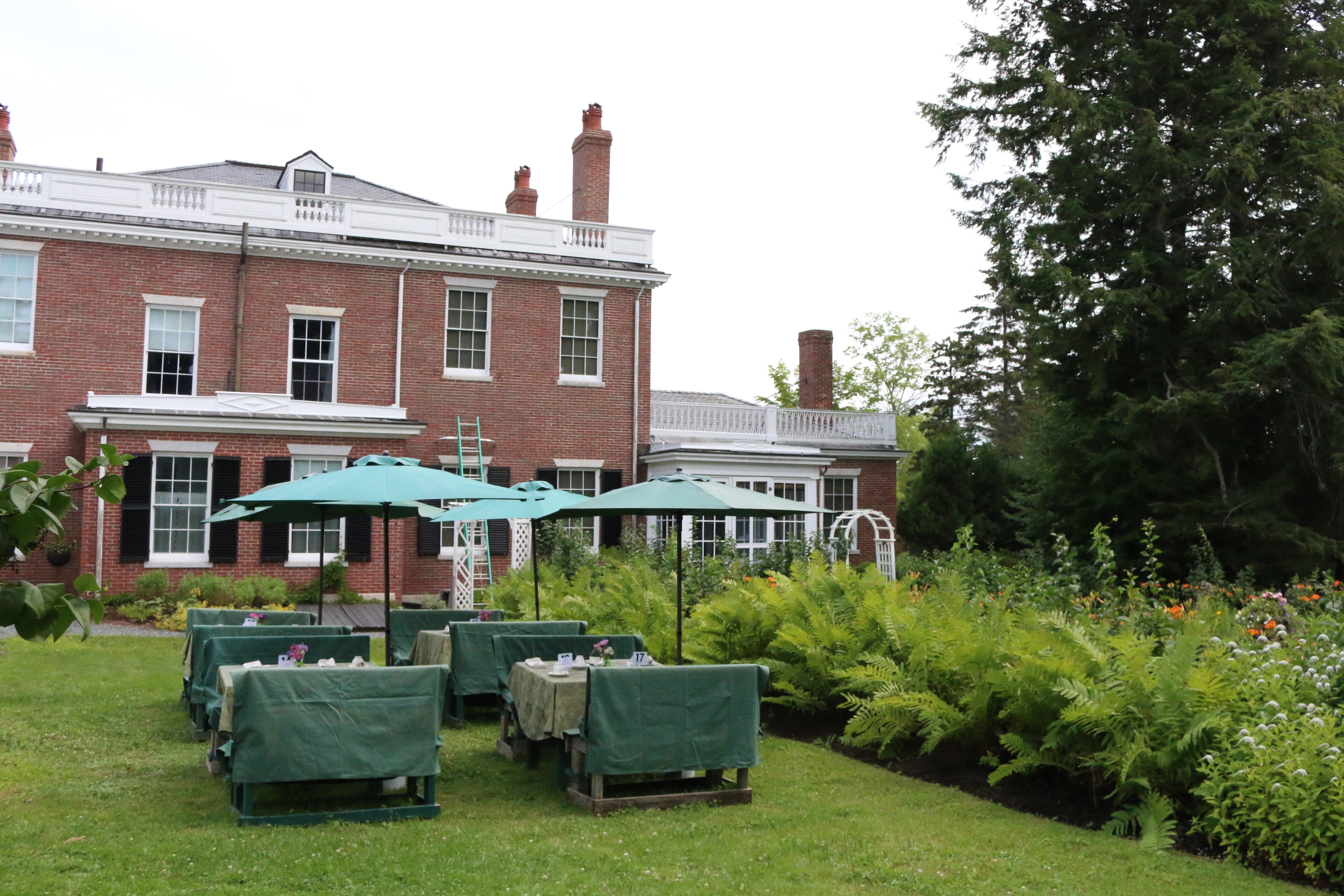 Afternoon Tea at Woodlawn