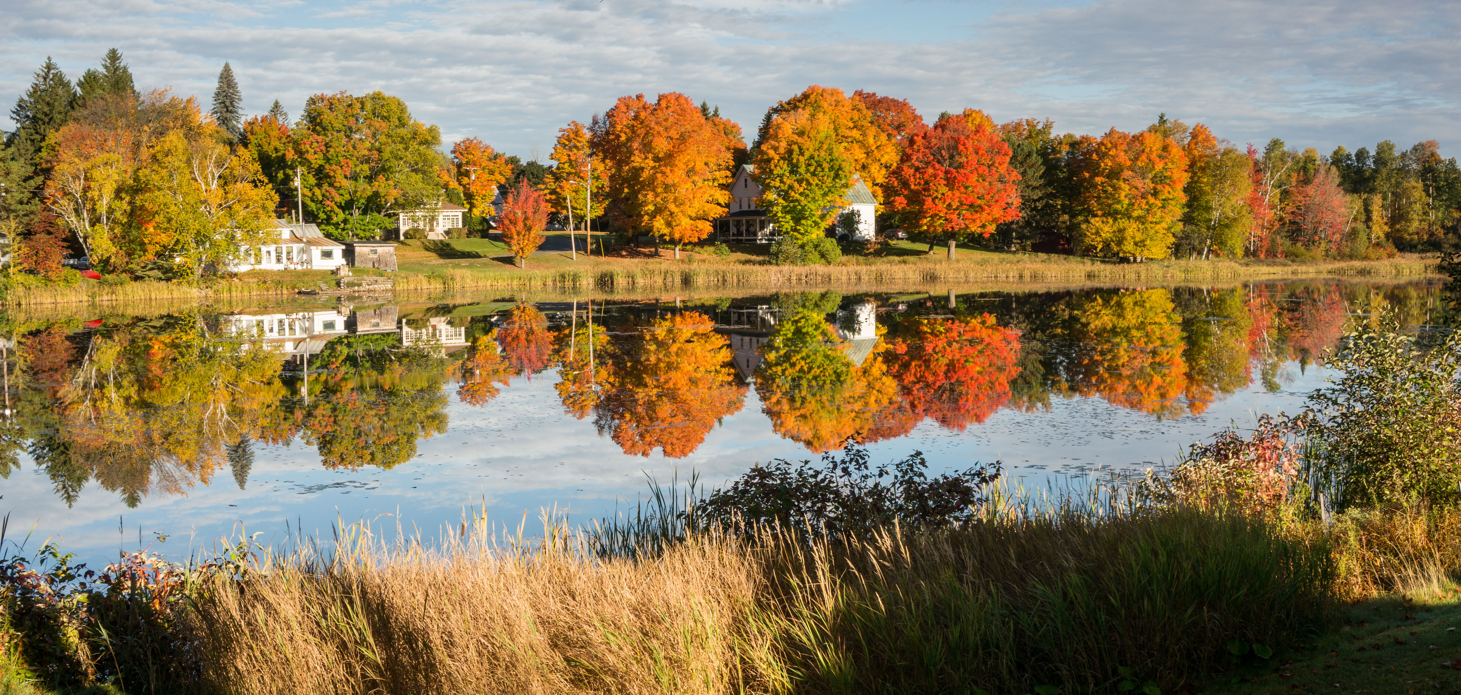 Fall foliage on Haley Pond