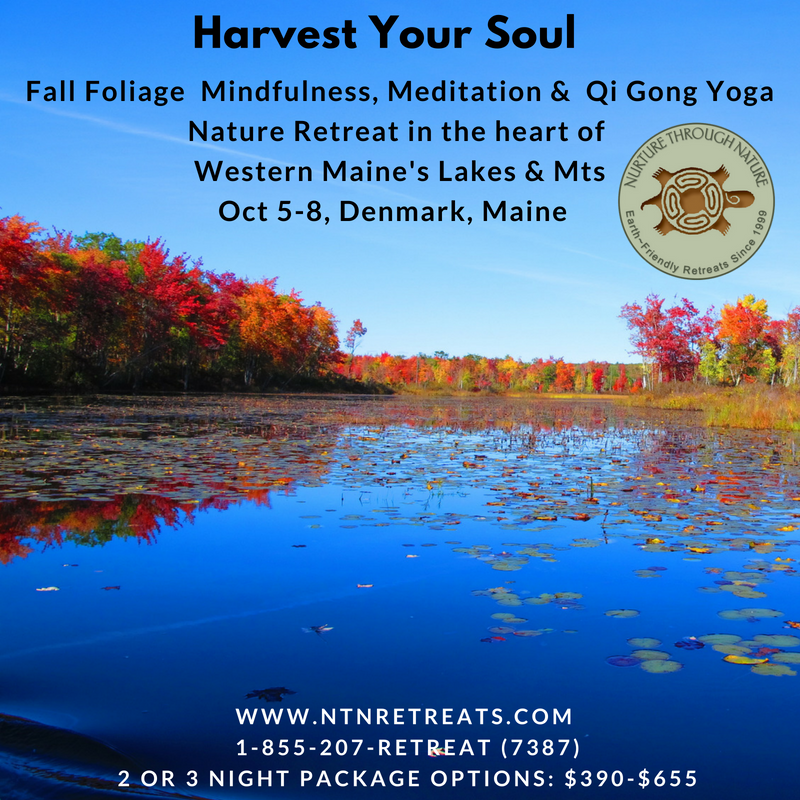 Fall Foliage Mindfulness, Meditation & Qi Gong Yoga Nature Retreat