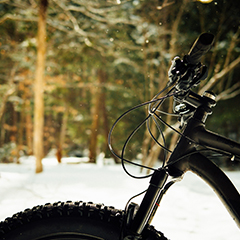 Fat Tire Biking